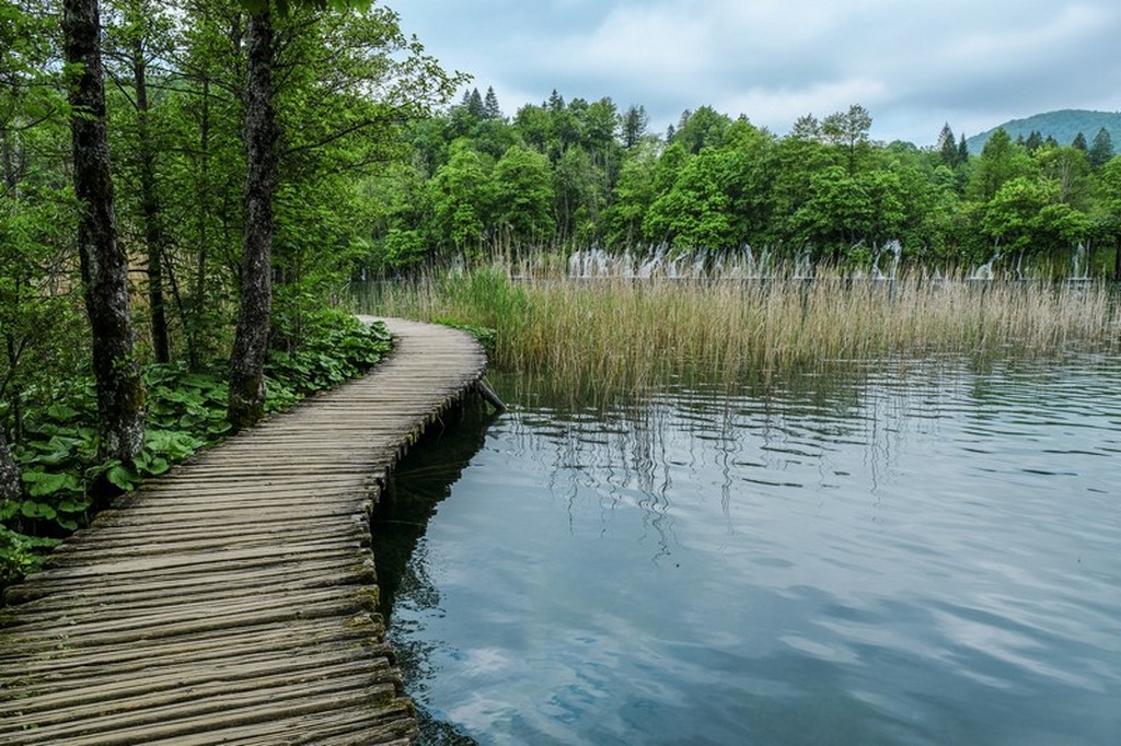 Guida laghi di Plitvice: passerella sul lago e alberi