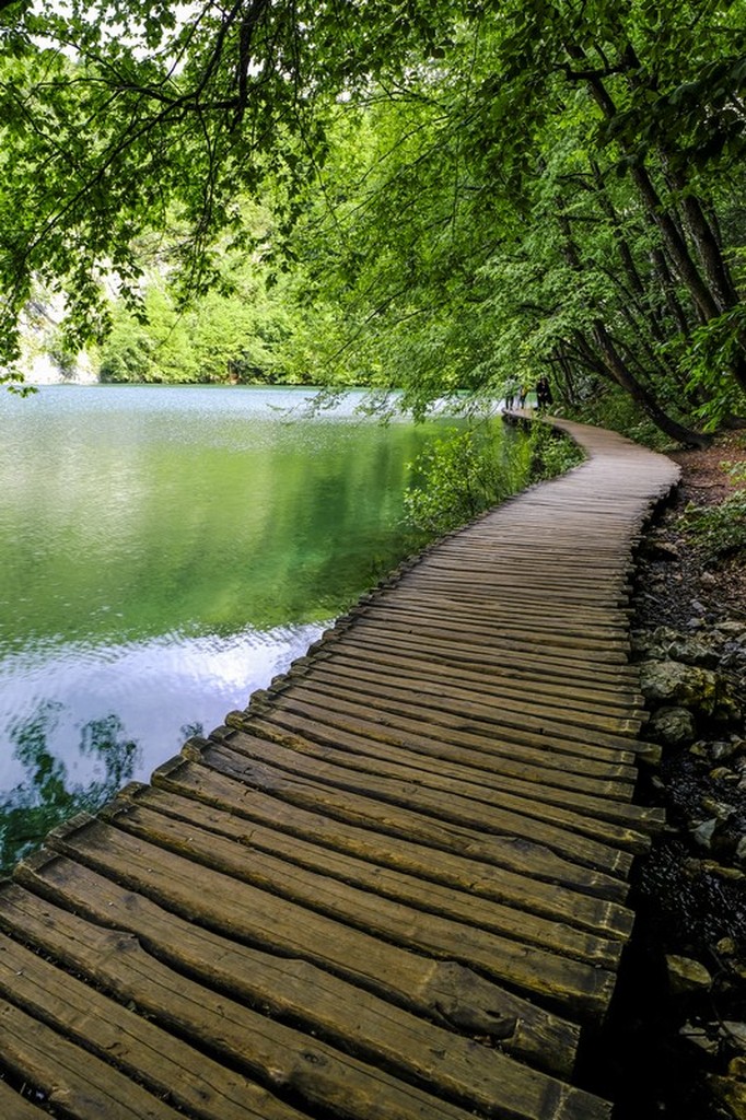 Guida laghi di Plitvice: passerella a lato del lago con alberi