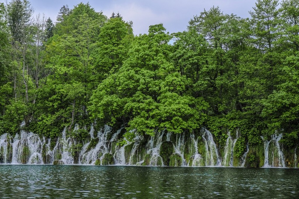 Guida laghi di Plitvice: cascatelle e lago