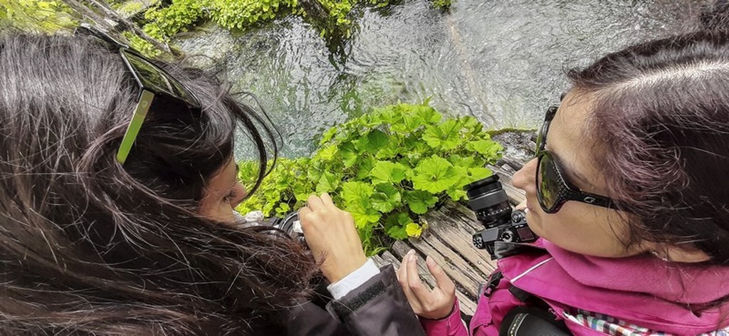 Guida laghi di Plitvice: ragazze con macchine fotografiche