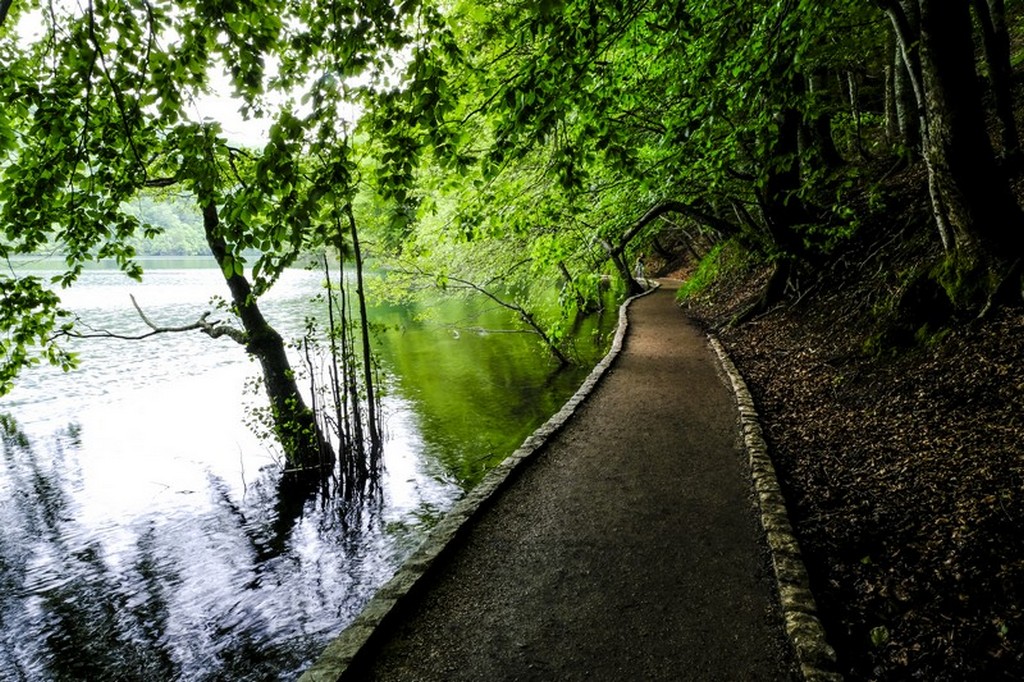 Guida laghi di Plitvice: percorso a lato del lago