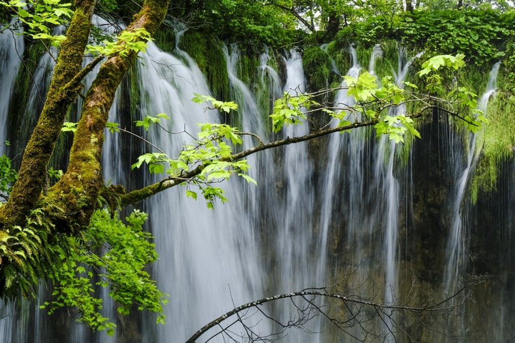 Guida laghi di Plitvice: cascata vista da vicino con rami in primo piano