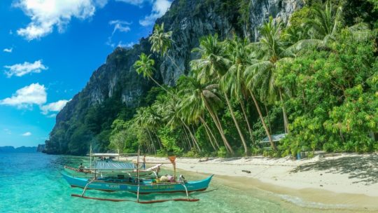 spiaggia con palme a ridotto della montagna con barche