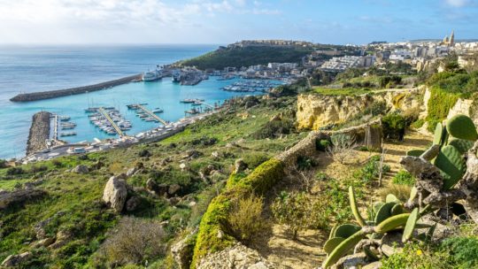 una giornata a gozo panorama sul porto con vegetazione