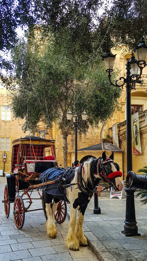 Visita a Mdina carrozza con cavallo