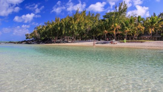 spiaggia mare e alberi