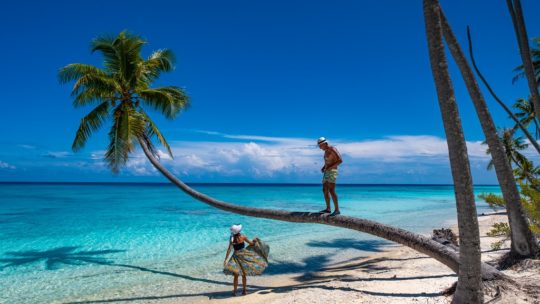 spiaggia con palme e coppia che si guarda