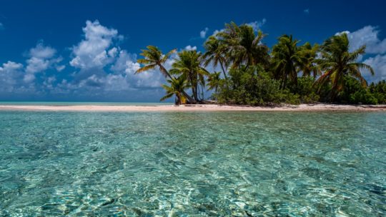 polinesia francese low cost isola con palme in laguna cristallina