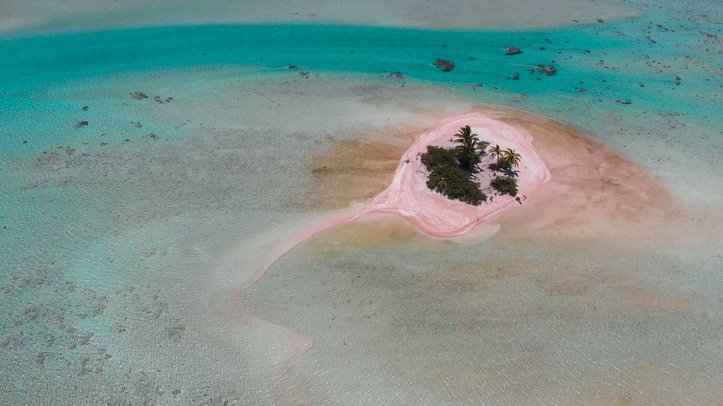 motu rosa con palme nella laguna