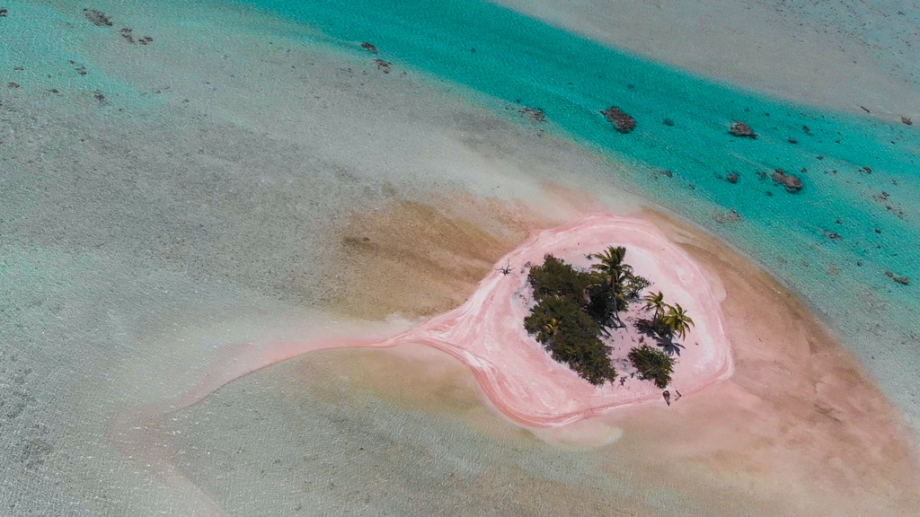 isole con palme nella laguna