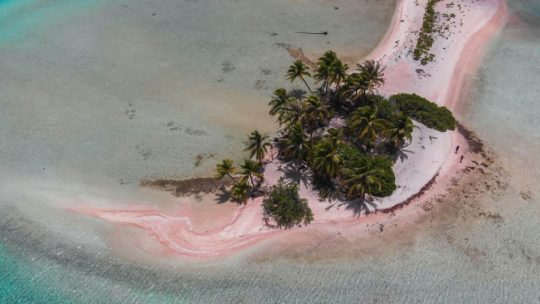 Escursione a Les Sables Roses di Fakarava