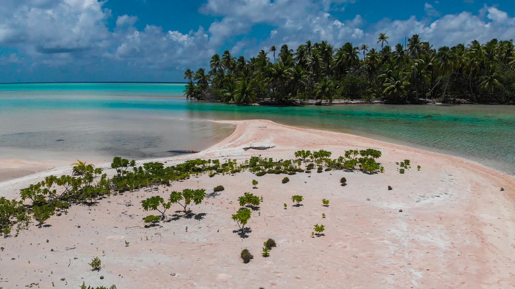 isole con palme nella laguna guida a fakarava