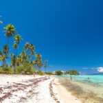 10 cose da non perdere a Moorea spiaggia con palme alte, sabbia bianca e mare turchese