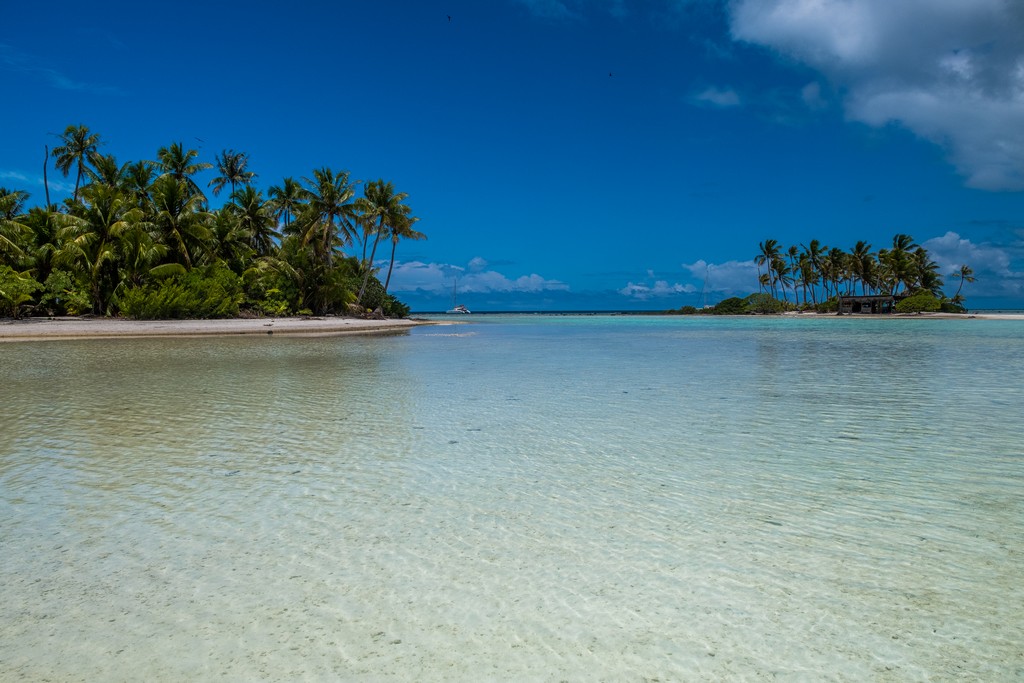 isole con palme sabbia bianca e laguna cristallina bassa