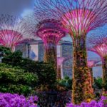 10 cose da non perdere a Singapore