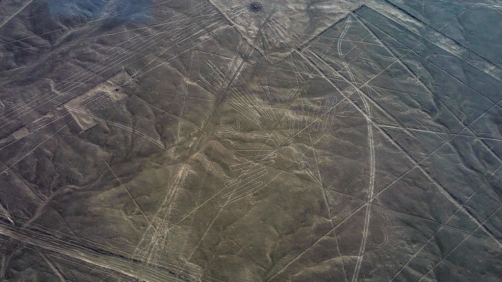 Le linee di Nazca - il condor