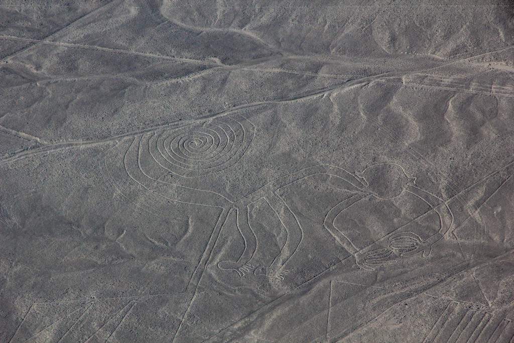 Le linee di Nazca - la scimmia