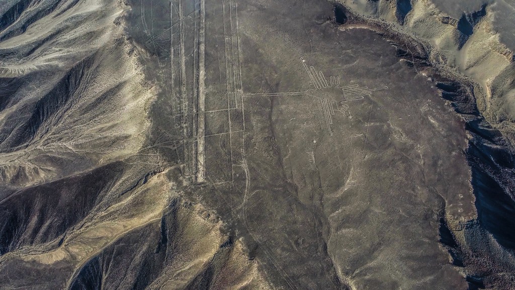 Le linee di Nazca - il colibrì