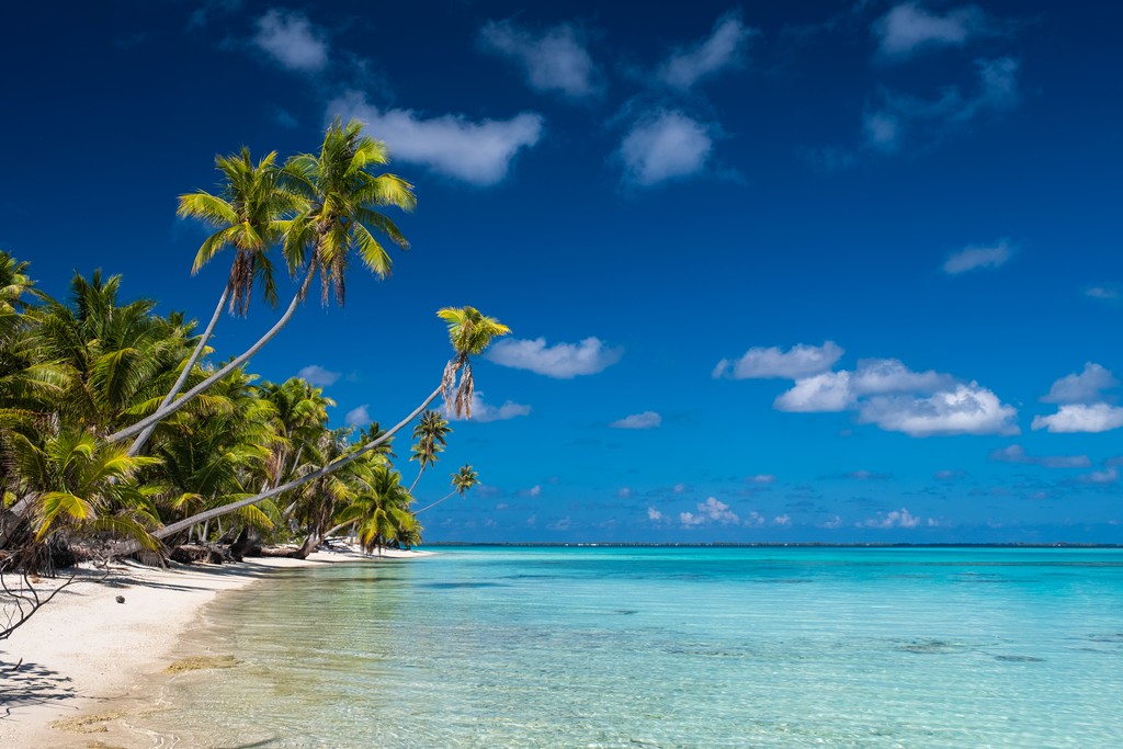 Itinerario in Polinesia Francese fai da te spiaggia con palme