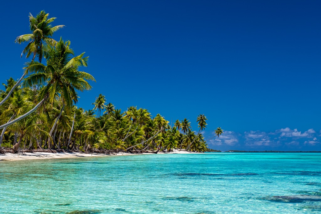 guida a Fakarava fai da te palme protese sul mare