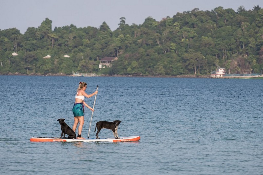 stand up paddling