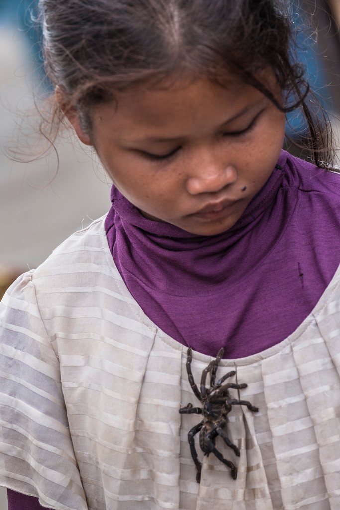 bambina con tarantola addosso