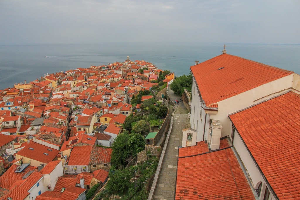 Cosa vedere a Pirano vista dall'alto sui tetti rossi