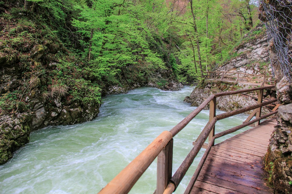 itinerario in Slovenia in 4 giorni rapide nel fiume