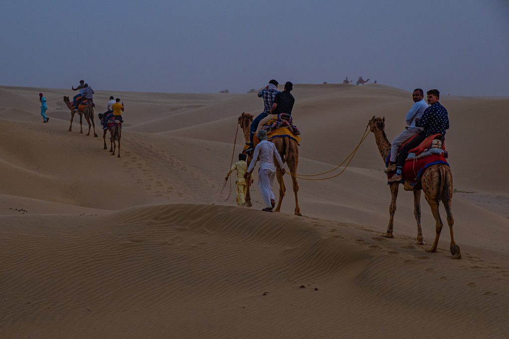 deserto e cammelli