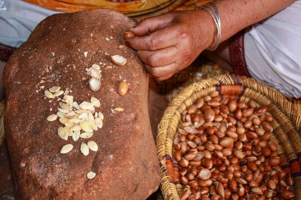 itinerario in Marocco in una settimana noci da cui estrarre olio di argan