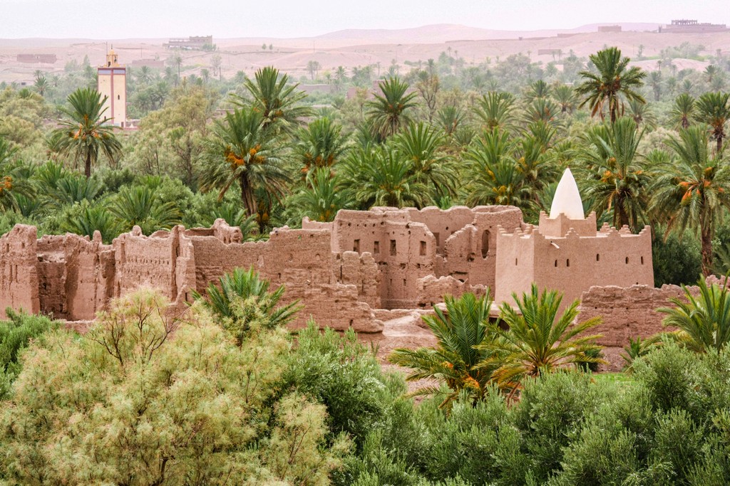 kasbah nel palmeto