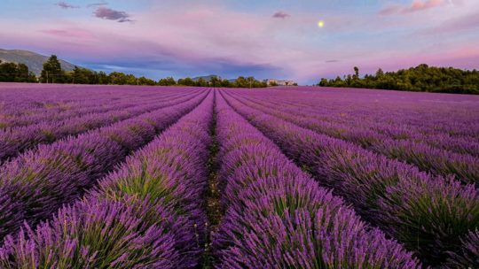 i nostri consigli per fare campeggio in Provenza