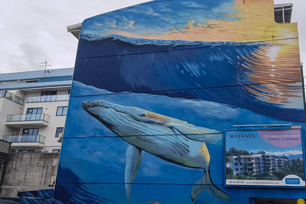 murales di balena