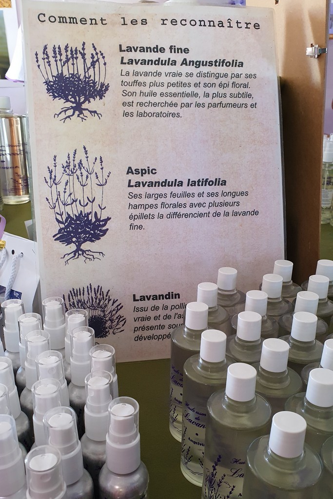 Lavanda o lavandina souvenir tema lavanda