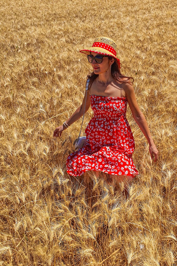 campo di grano con persona