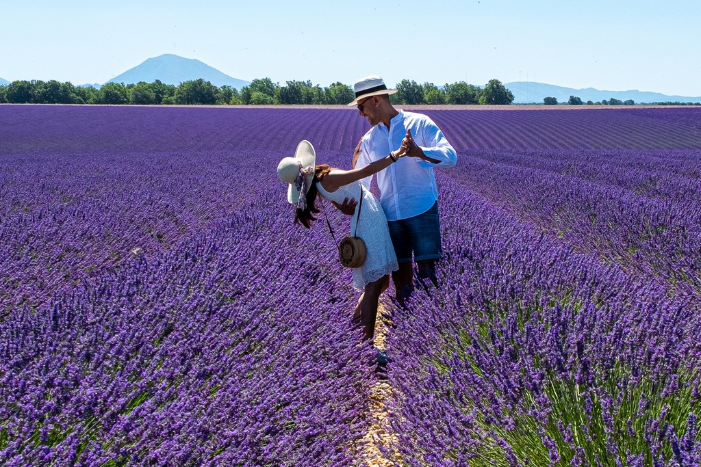 3 giorni in Provenza: un itinerario fra lavanda e villaggi