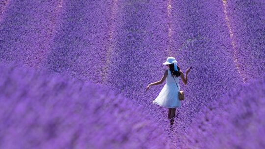 i luoghi più instagrammabili della provenza ragazza in campo di lavanda