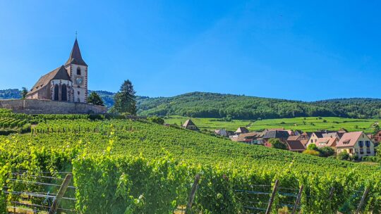 guida alla route des vins sud Alsazia