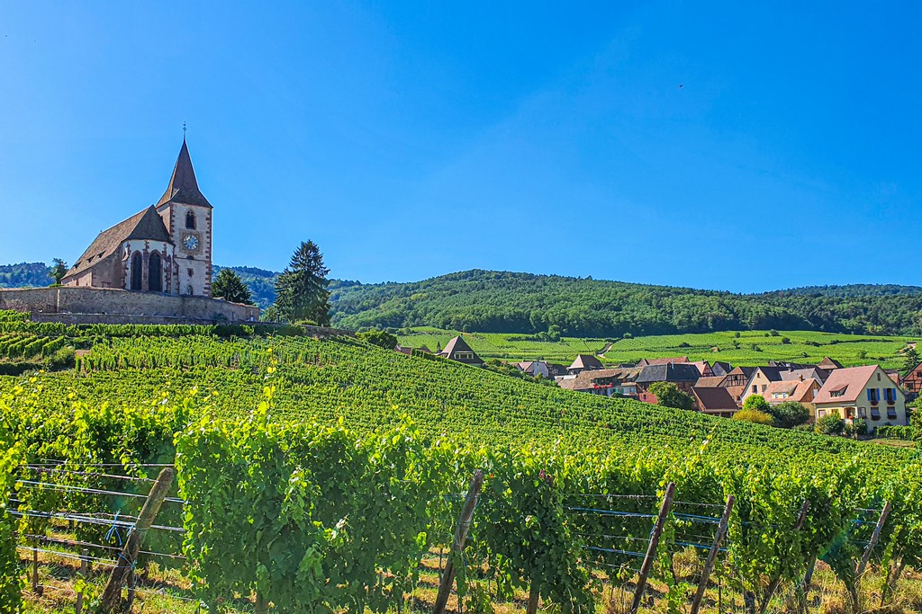 Guida alla Route des Vins sud Alsazia: da Haut-Koenigsbourg a Thann