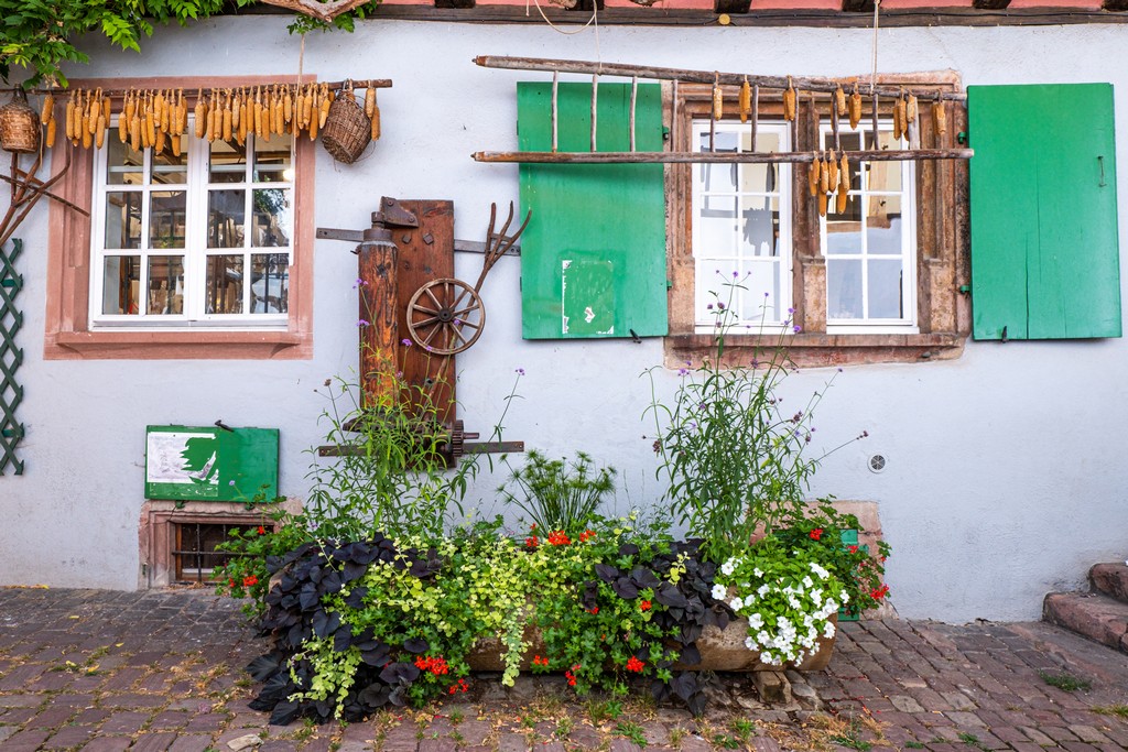 villaggi più instagrammabili d’Alsazia scorcio suggestivo con fiori