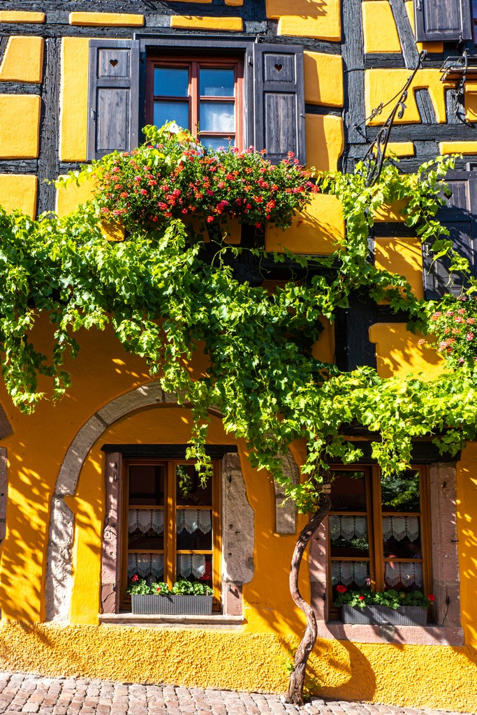 Una settimana in Alsazia facciata gialla con piante