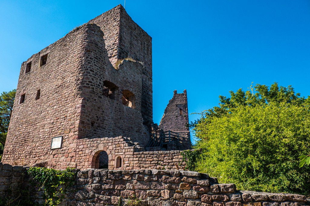 Una settimana in Alsazia rovina di un castello