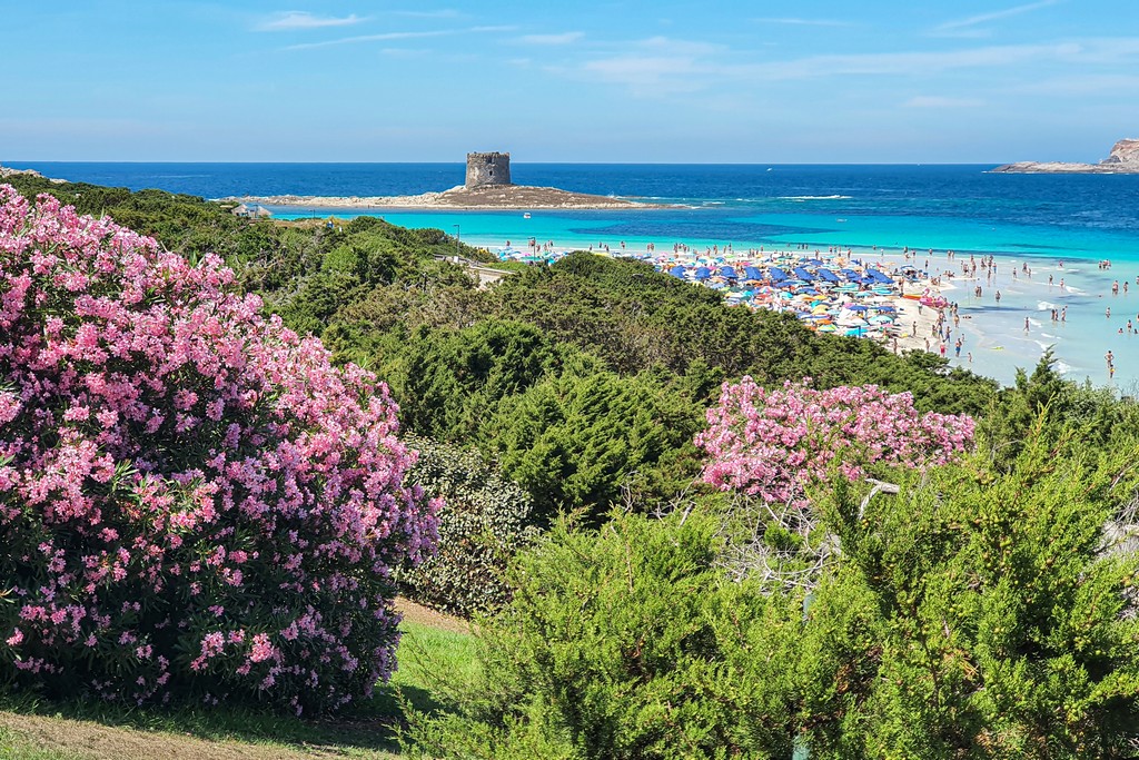 La Pelosa a Stintino vista della spiaggia dall'alto