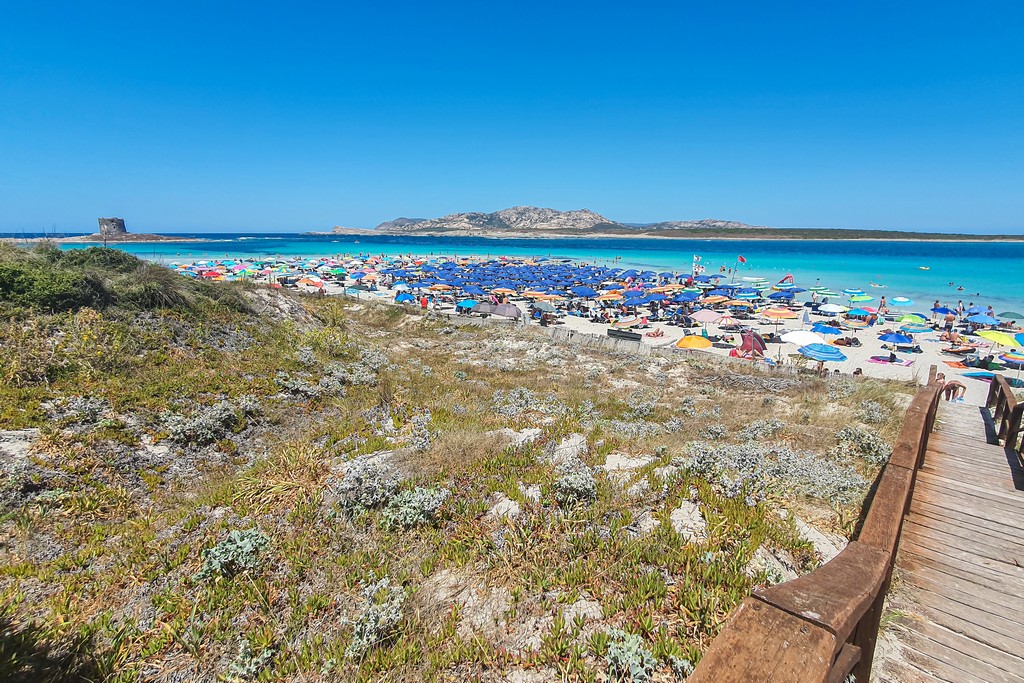 La Pelosa a Stintino vista della spiaggia dalla passerella