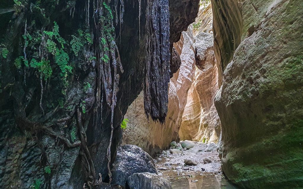 visita alla gola di avakas cipro