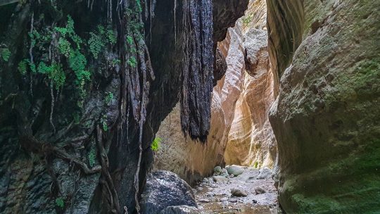 visita alla gola di avakas cipro