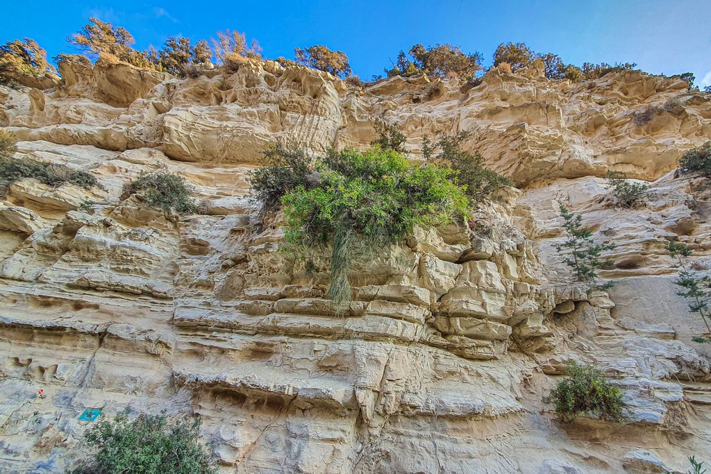 visita alla gola di Avakas parete a strapiombo