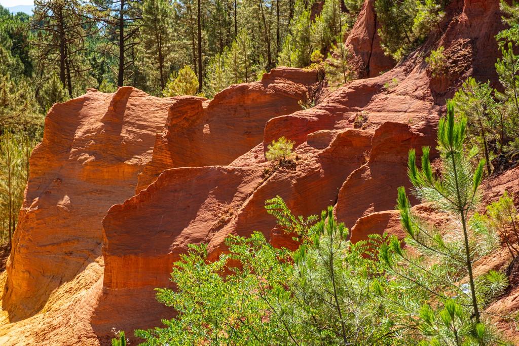 rocce colorate di ocra con alberi