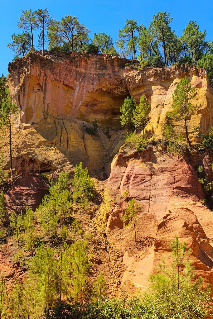 rocce colorate di ocra con alberi