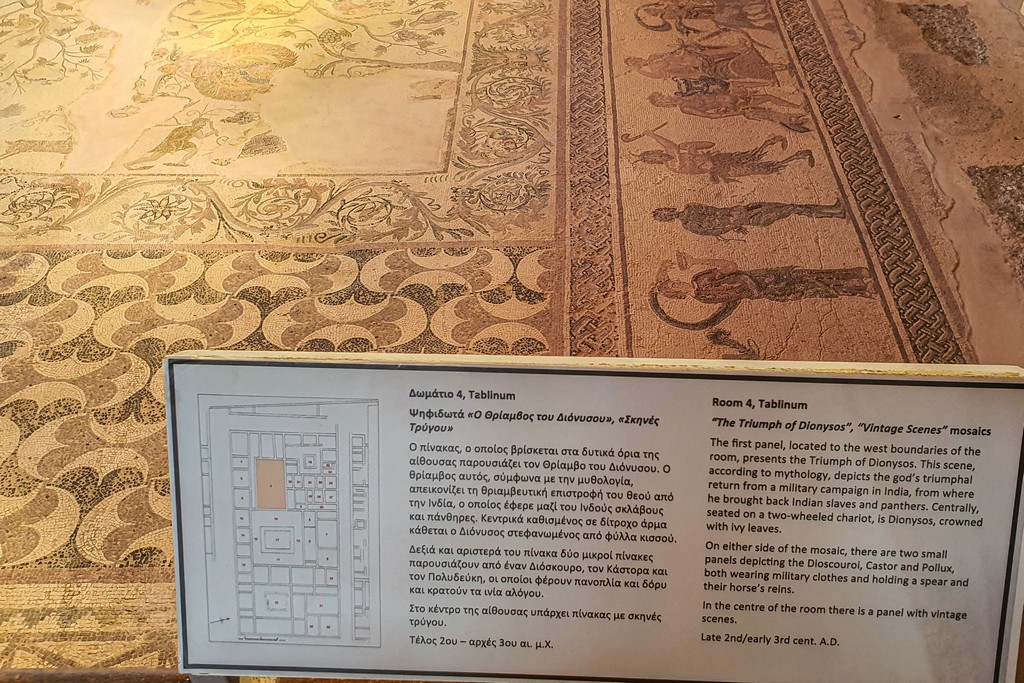 Visita al Parco Archeologico di Paphos mosaici